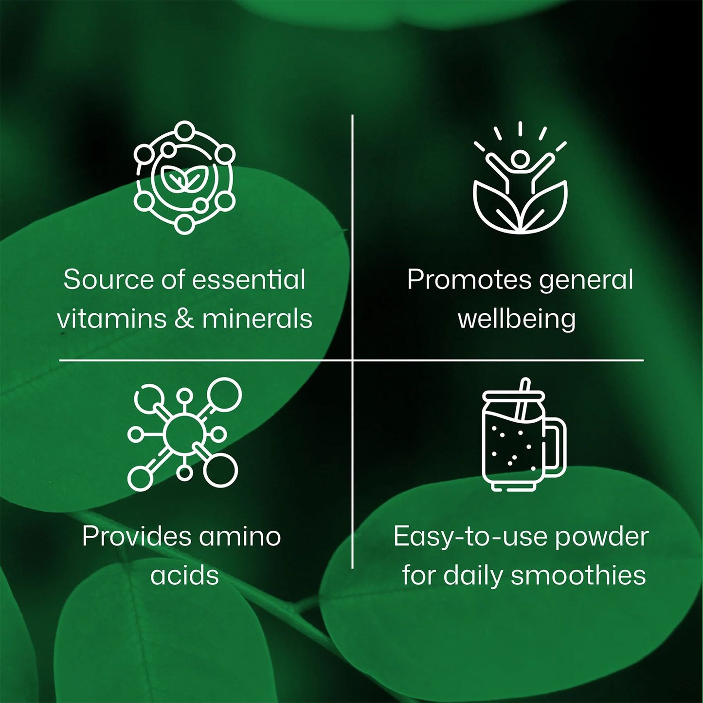 ORGANIC MORINGA POWDER 250 GRAM