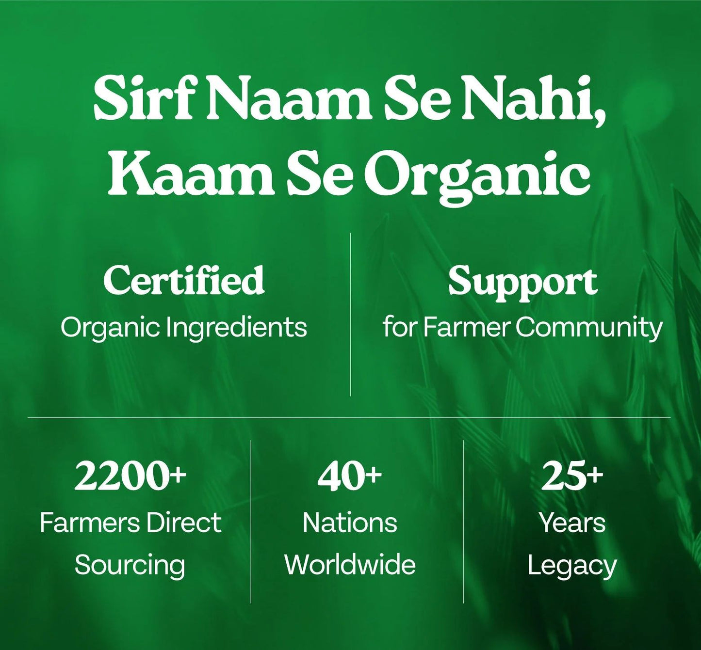 ORGANIC MORINGA POWDER 250 GRAM